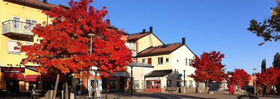 Vi utför billig bra flyttstädning i Upplands-Bro